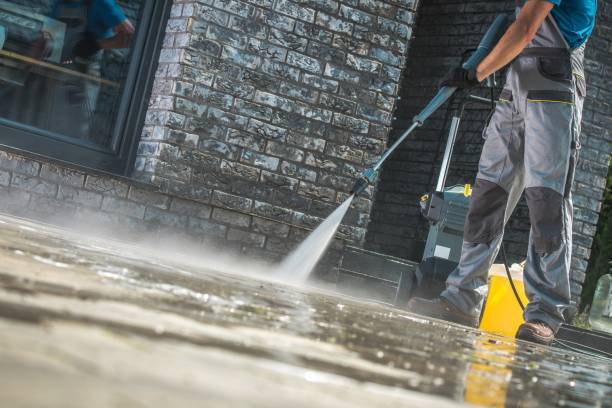 Best Gutter Cleaning  in Cortez, FL