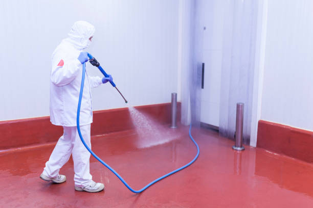 Best Graffiti Removal  in Cortez, FL